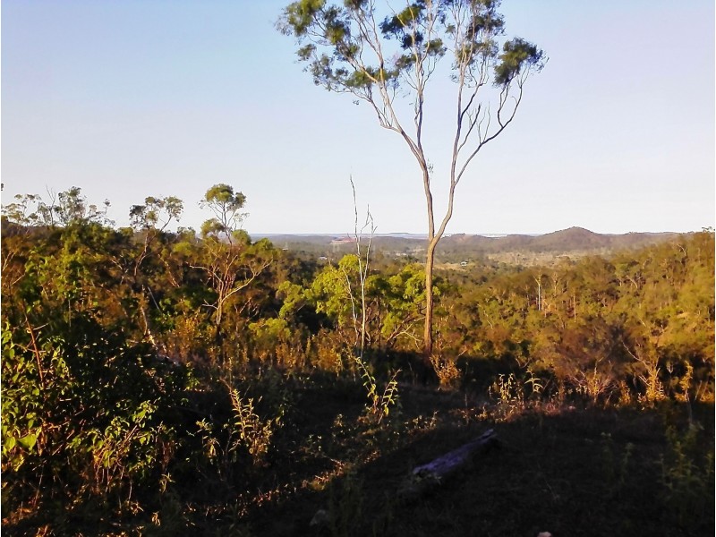 223 Mortimer Road, Calliope QLD 4680