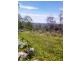 223 Mortimer Road, Calliope QLD 4680