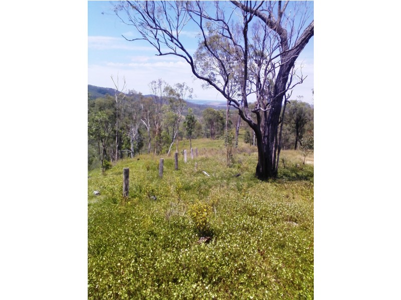 223 Mortimer Road, Calliope QLD 4680