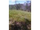 223 Mortimer Road, Calliope QLD 4680