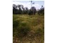 223 Mortimer Road, Calliope QLD 4680