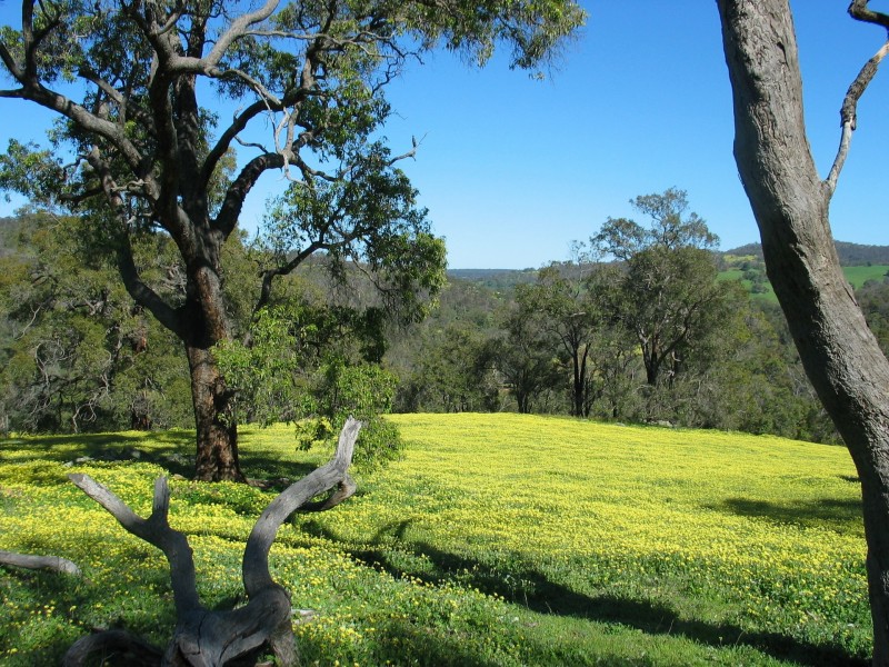 Lot 2 Wanaka Road, Lower Chittering WA 6084