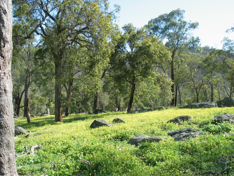 Lot 2 Wanaka Road, Lower Chittering WA 6084