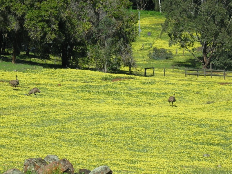 Lot 2 Wanaka Road, Lower Chittering WA 6084