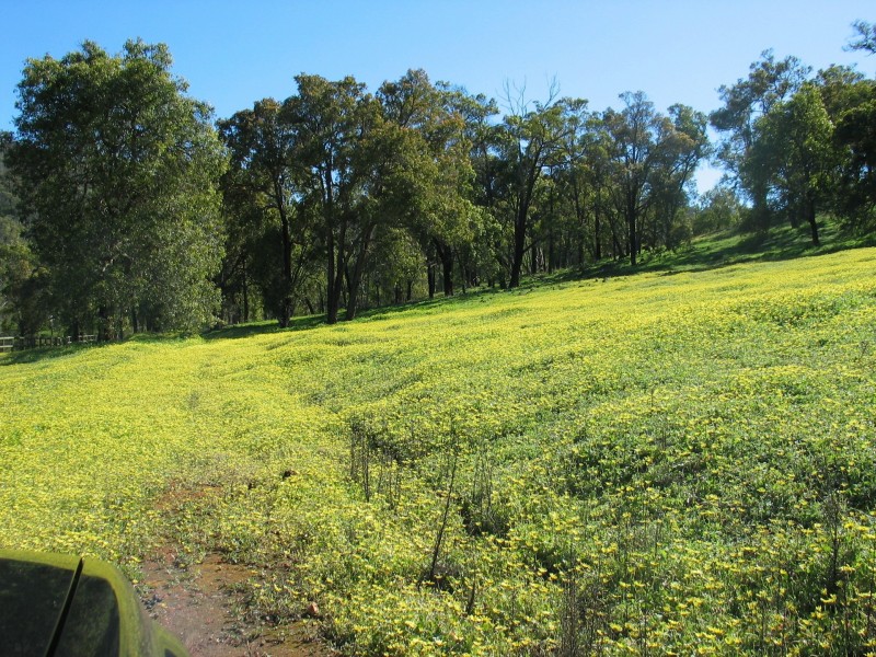 Lot 2 Wanaka Road, Lower Chittering WA 6084