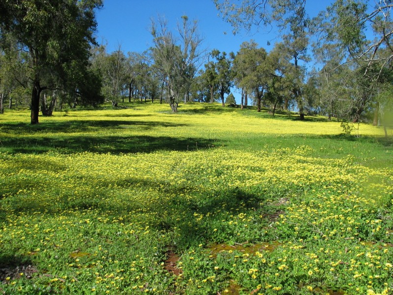 Lot 2 Wanaka Road, Lower Chittering WA 6084