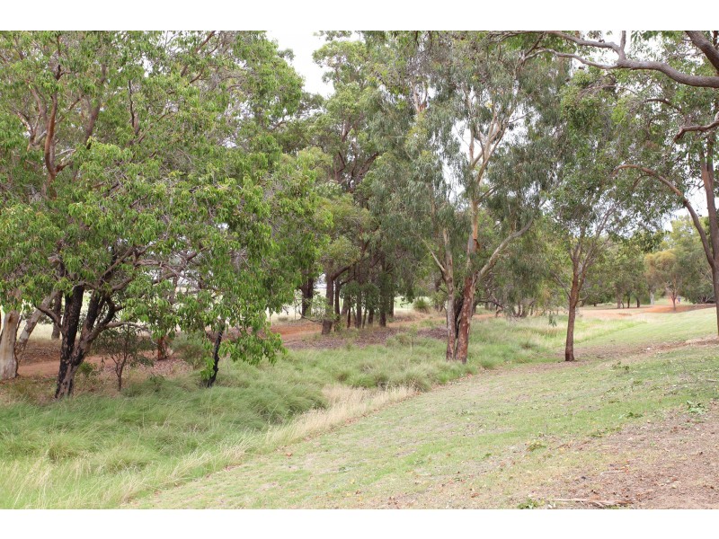 6 Croydon Street, Bellevue WA 6056