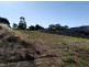 12 Hitchcock Drive, Nannup WA 6275