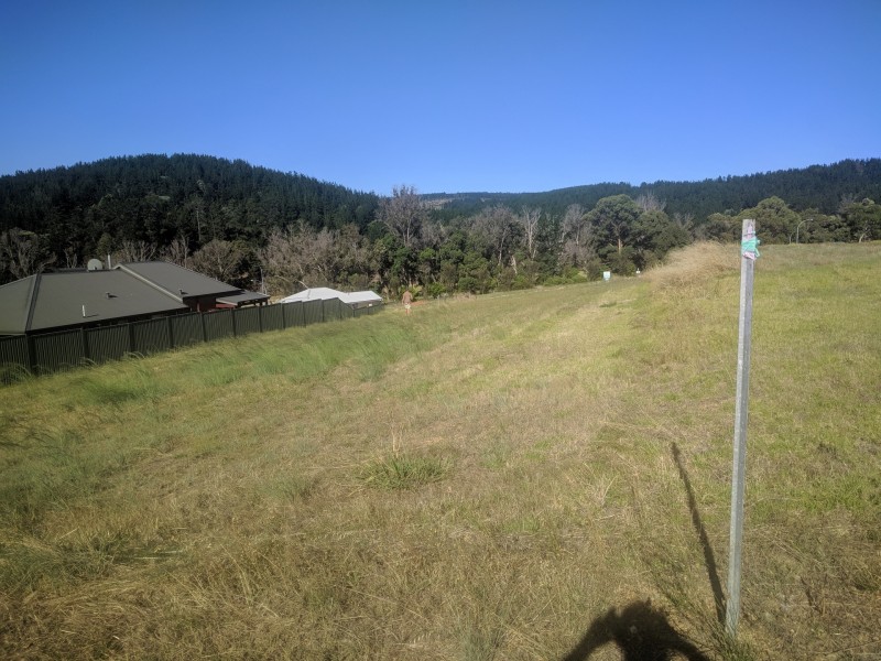 12 Hitchcock Drive, Nannup WA 6275