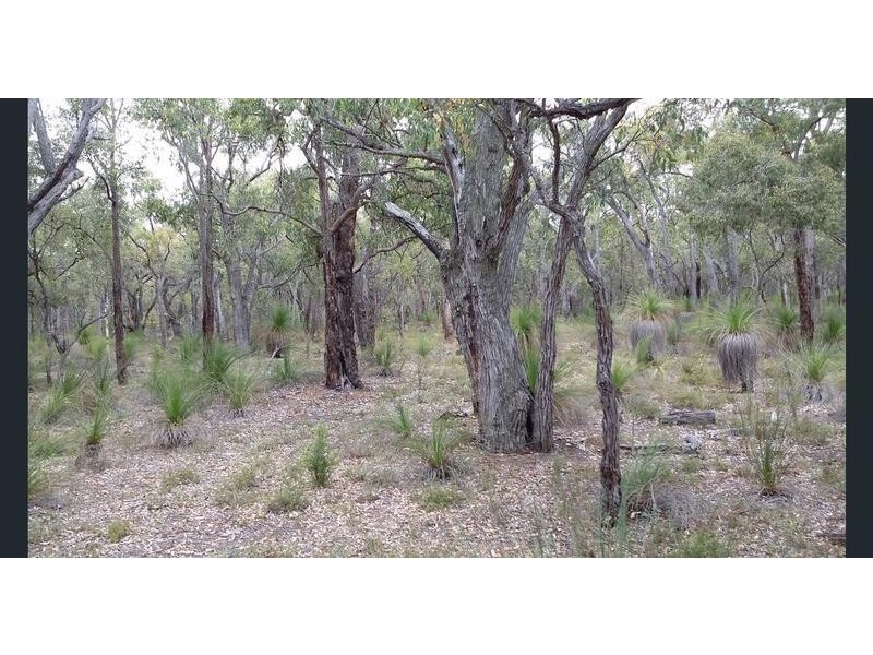 LOT 226 Jacaranda Close, Chittering WA 6084