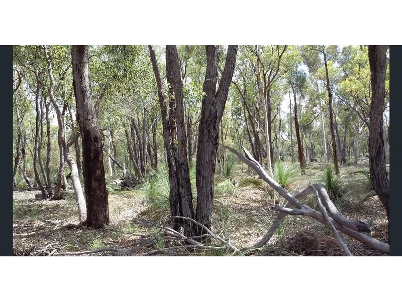 LOT 226 Jacaranda Close, Chittering WA 6084