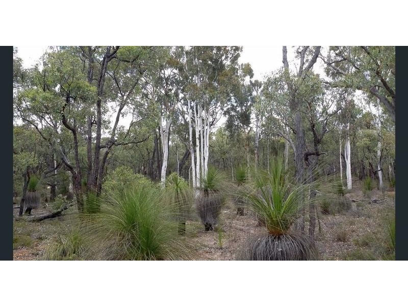 LOT 226 Jacaranda Close, Chittering WA 6084