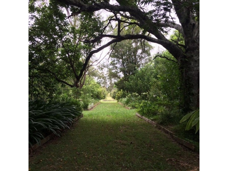 715 Fogwells Road, Yorklea NSW 2470