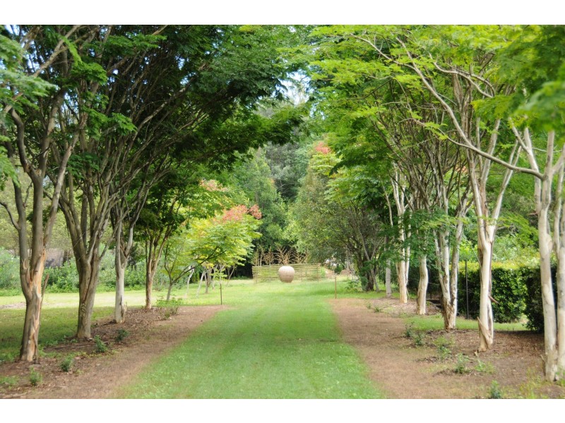 715 Fogwells Road, Yorklea NSW 2470