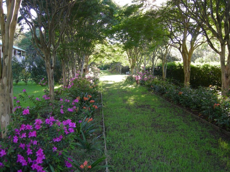 715 Fogwells Road, Yorklea NSW 2470