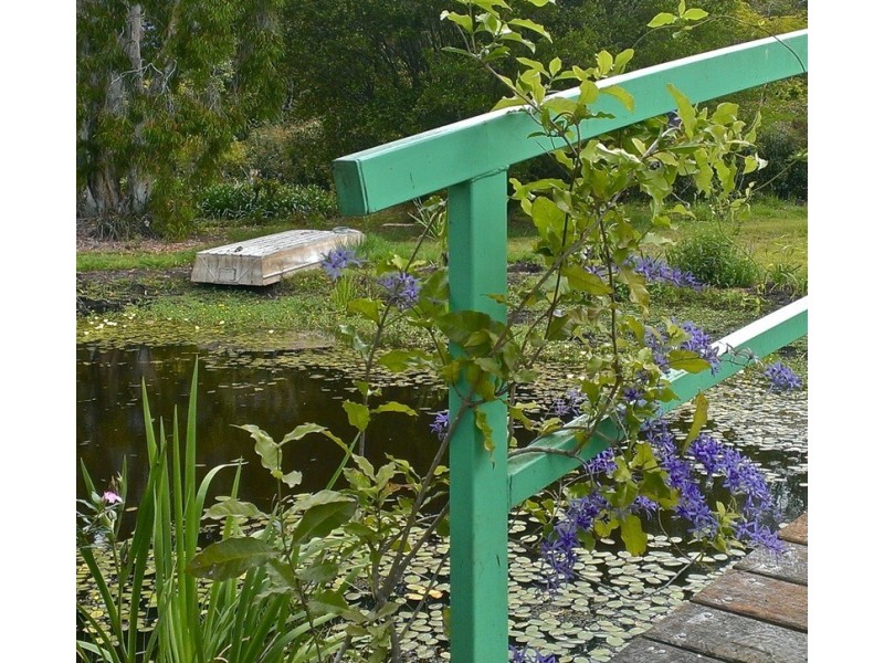 715 Fogwells Road, Yorklea NSW 2470