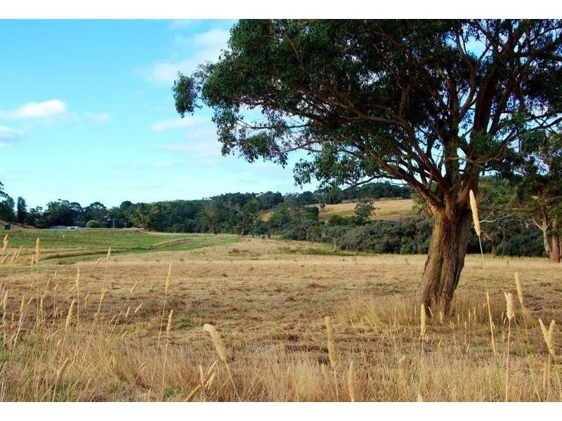 Lot Lot 6, 209 Timboon-Curdievale Road, Timboon VIC 3268