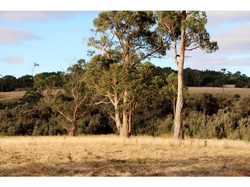 Lot Lot 6, 209 Timboon-Curdievale Road, Timboon VIC 3268