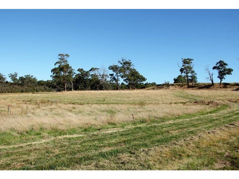 Lot Lot 6, 209 Timboon-Curdievale Road, Timboon VIC 3268