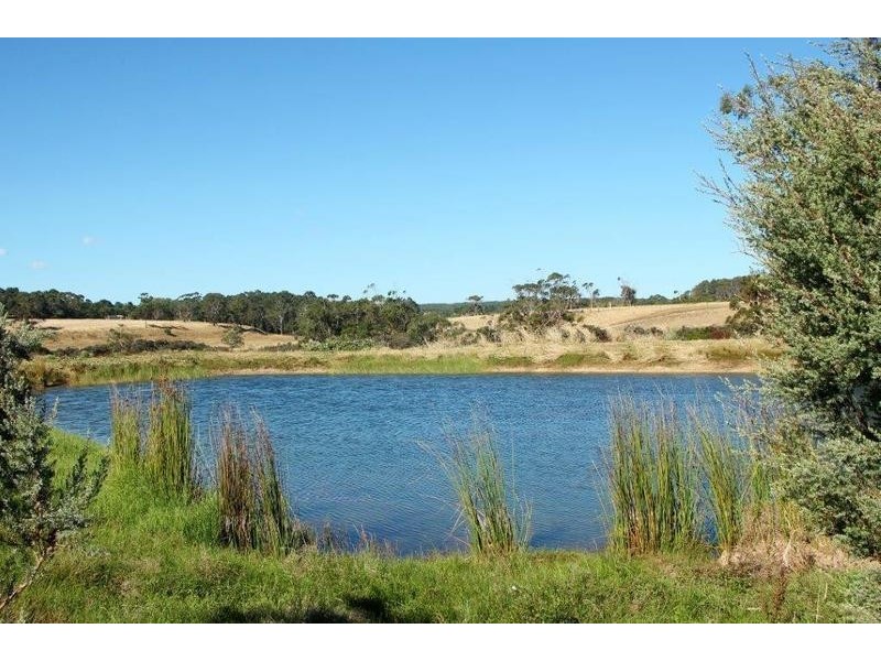 Lot Lot 6, 209 Timboon-Curdievale Road, Timboon VIC 3268