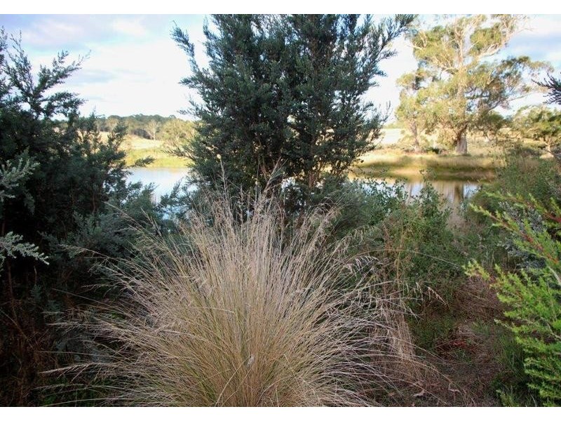 Lot Lot 6, 209 Timboon-Curdievale Road, Timboon VIC 3268