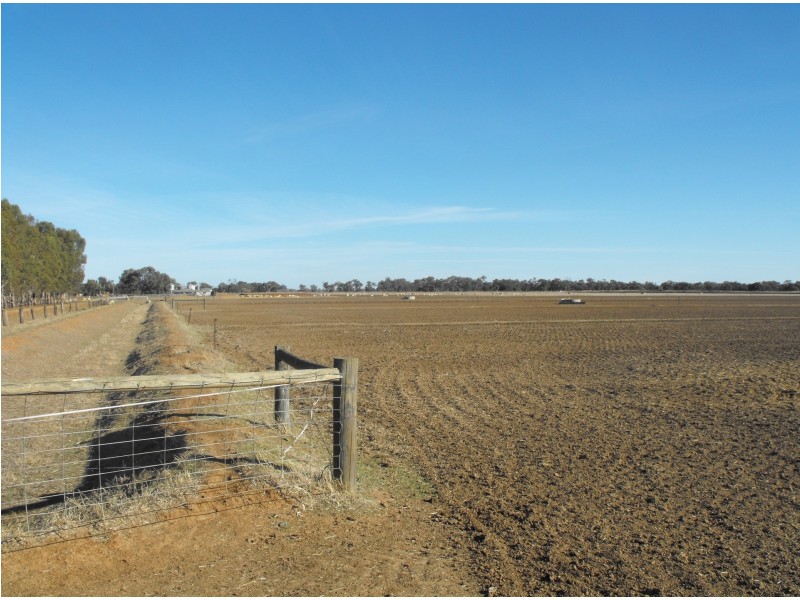345 Campbells Road, Mayrung NSW 2710
