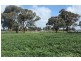 345 Campbells Road, Mayrung NSW 2710
