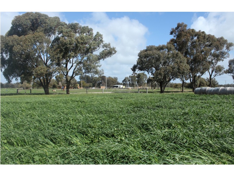 345 Campbells Road, Mayrung NSW 2710