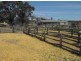 345 Campbells Road, Mayrung NSW 2710