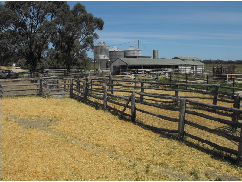 345 Campbells Road, Mayrung NSW 2710
