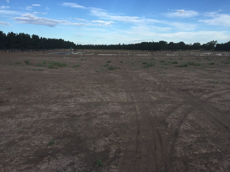 25 Durant Circuit, Kalkallo VIC 3064