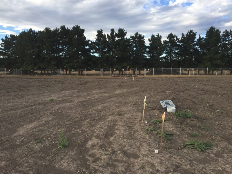 25 Durant Circuit, Kalkallo VIC 3064