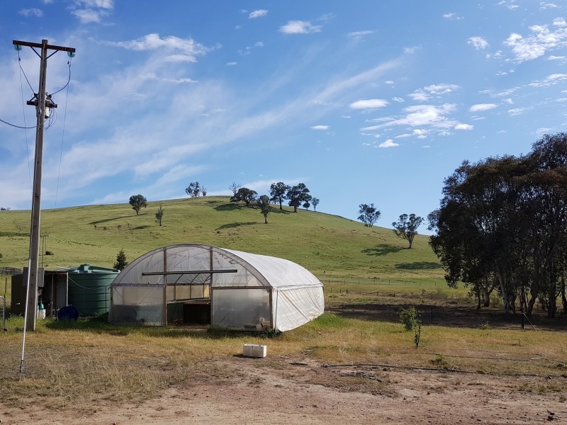 222 Battery Crossing Rd, Reids Flat NSW 2586