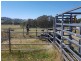 222 Battery Crossing Rd, Reids Flat NSW 2586