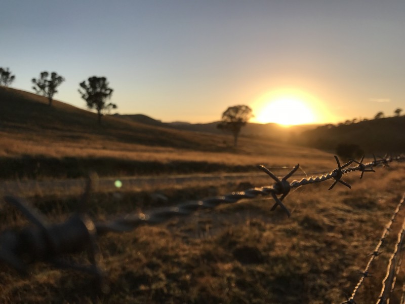 222 Battery Crossing Rd, Reids Flat NSW 2586