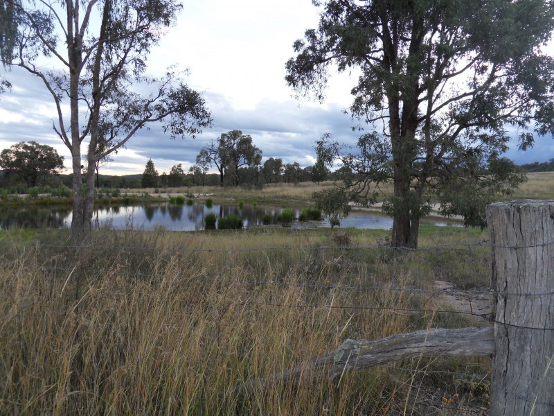 1887 Bingara Road, Bundarra NSW 2359