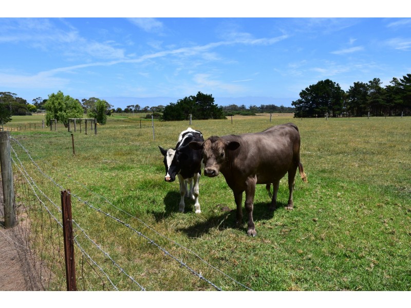 93 Turnbull street, Alberton VIC 3971