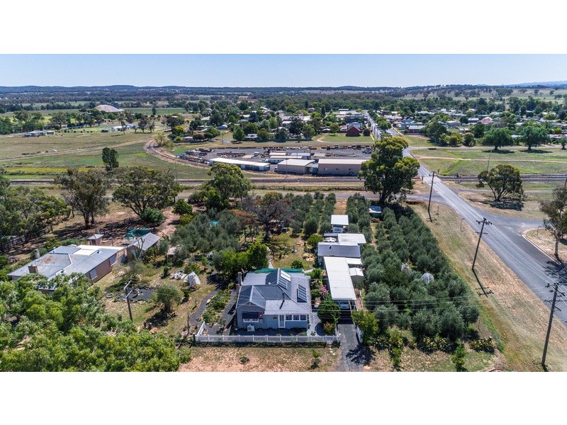 3 Wilga Street, Binnaway NSW 2395 For Sale