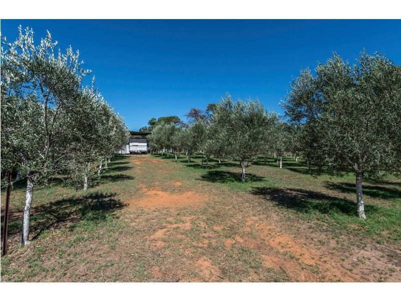 3 Wilga Street, Binnaway NSW 2395 For Sale