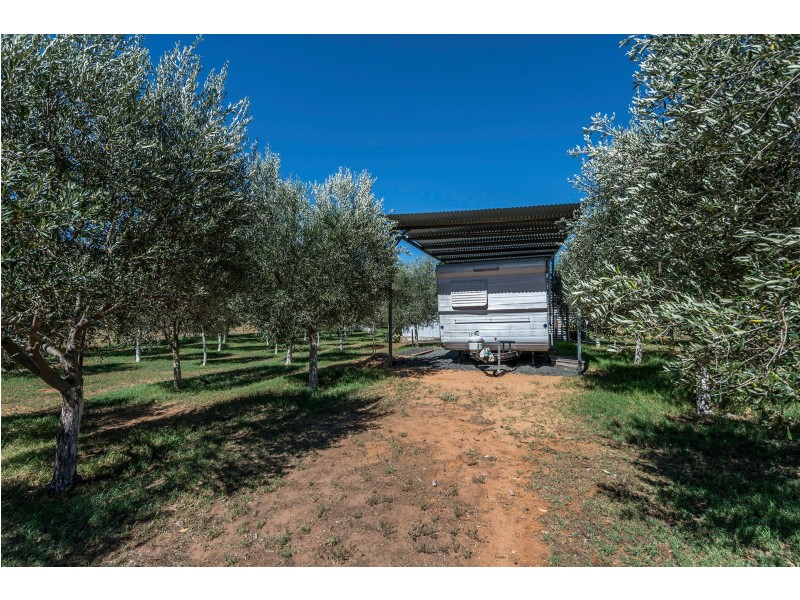 3 Wilga Street, Binnaway NSW 2395 For Sale