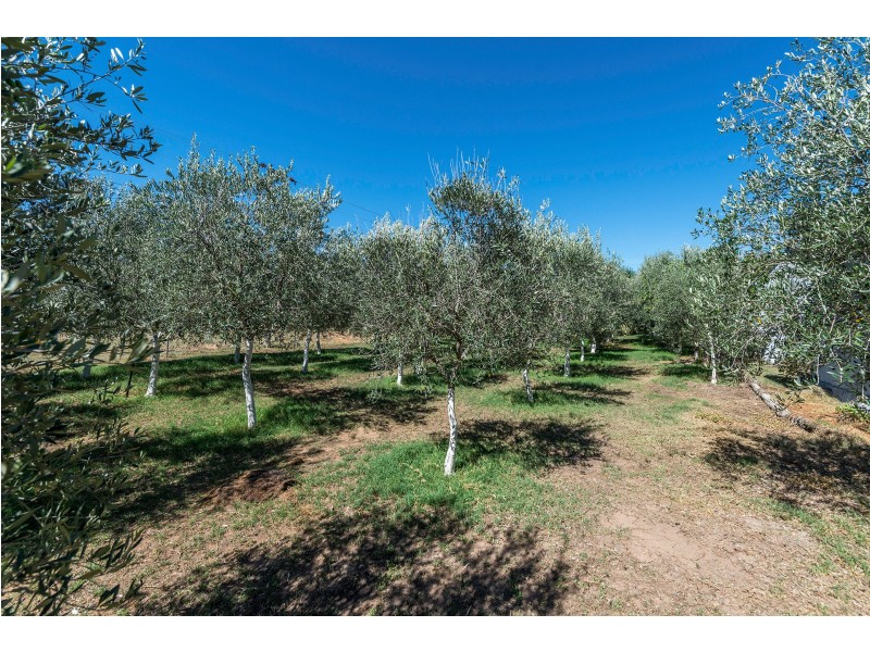 3 Wilga Street, Binnaway NSW 2395