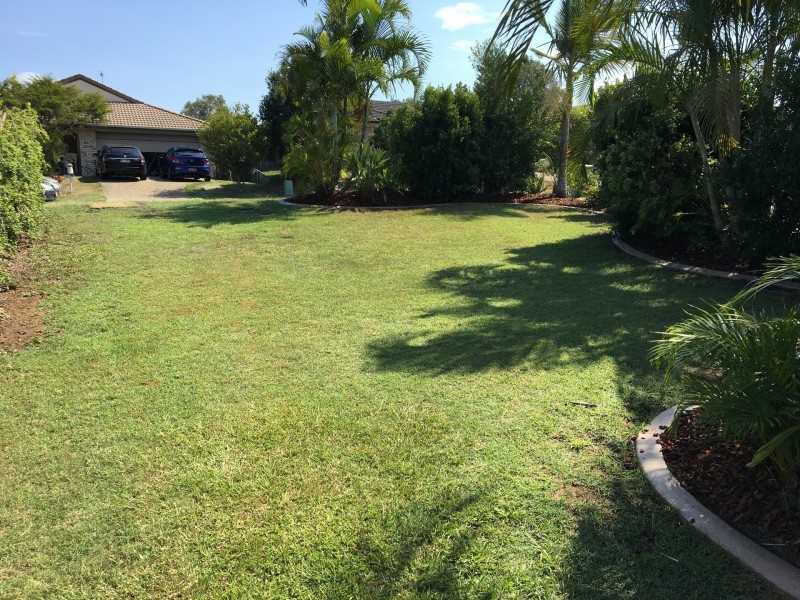 17 Springdale Street, Upper Coomera QLD 4209