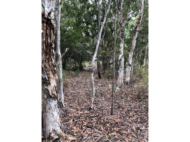 517 West Point Road, West Point QLD 4819