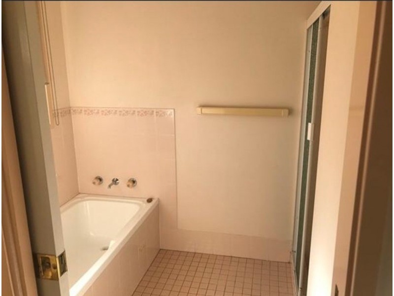 167 Minimbah Drive, Whittingham NSW 2330