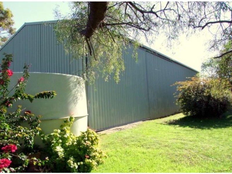 167 Minimbah Drive, Whittingham NSW 2330