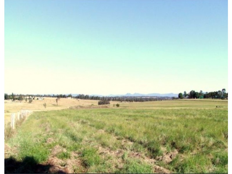 167 Minimbah Drive, Whittingham NSW 2330