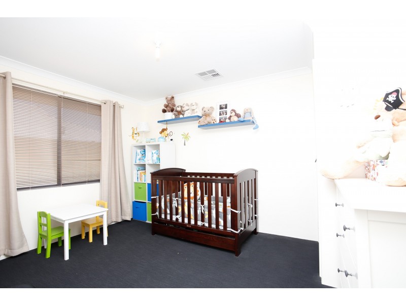 20 Platypus Green, Baldivis WA 6171