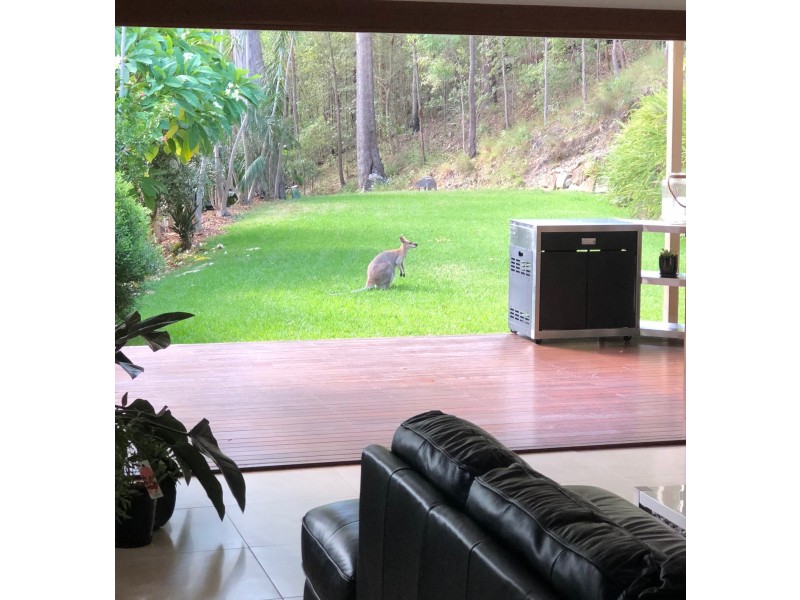 20 Thursday Drive, Tallebudgera Valley QLD 4228