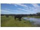 175 G Barrys Road, Barongarook VIC 3249