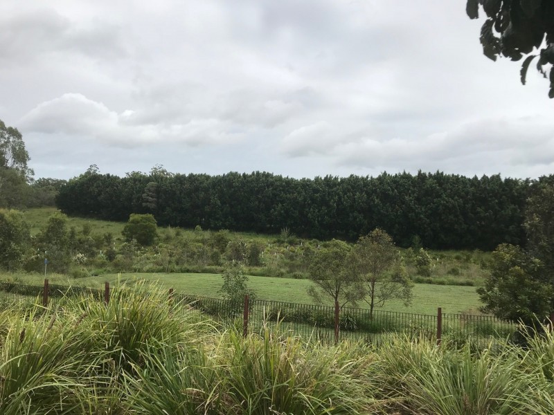 37 Voyager Drive, Kuraby QLD 4112